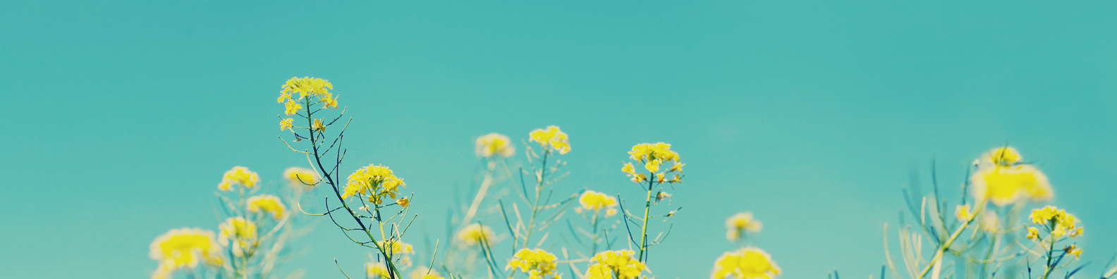 Summer color cool down