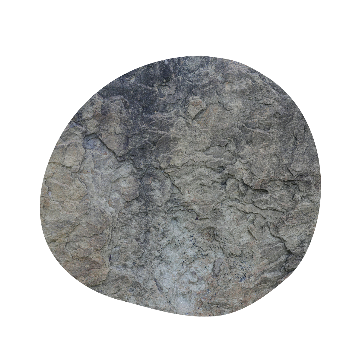 5 Practical Ways to Support Yourself and Others