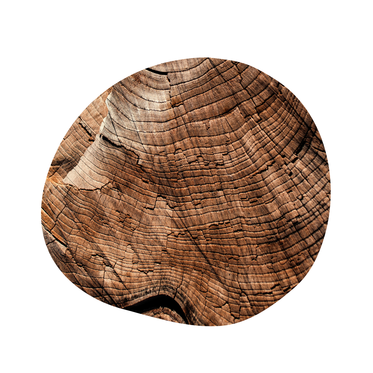 No, Midlife is Not a Crisis. It's a Wake Up Call.