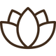 Whole-Person Care