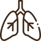 Breath + Posture